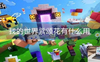 我的世界紫颂花有什么用 我的世界紫颂花有什么用