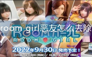 room girl恶友怎么去除