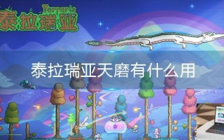 泰拉瑞亚天磨有什么用