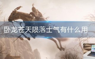 卧龙苍天陨落士气有什么用