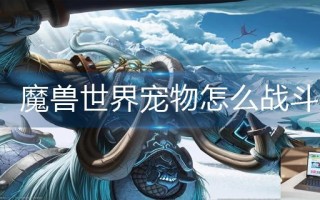 魔兽世界宠物怎么战斗