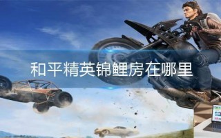 和平精英锦鲤房在哪里