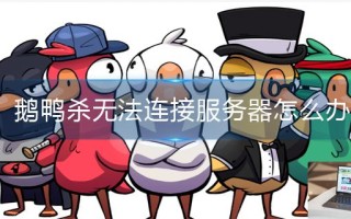 鹅鸭杀无法连接服务器怎么办