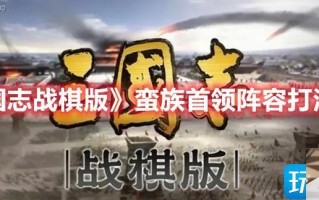 三国志战棋版蛮族首领怎么玩