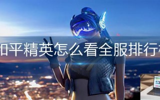 和平精英怎么看全服排行榜