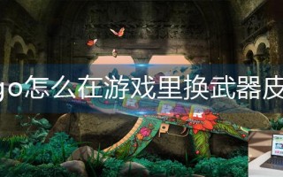 csgo怎么在游戏里换武器皮肤