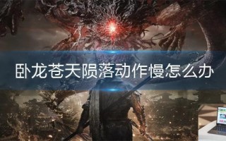 卧龙苍天陨落动作慢怎么办