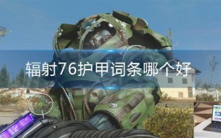 辐射76护甲词条哪个好