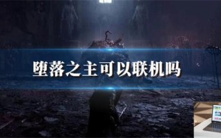 堕落之主可以联机吗