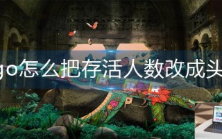 csgo怎么把存活人数改成头像