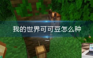 我的世界可可豆怎么种 我的世界可可豆怎么种