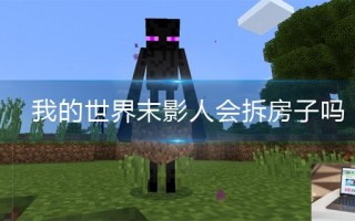 我的世界末影人会拆房子吗