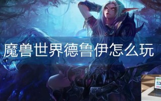 魔兽世界德鲁伊怎么玩