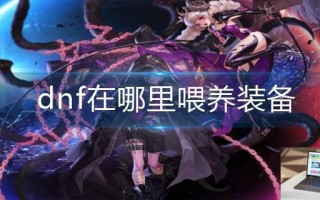 dnf在哪里喂养装备