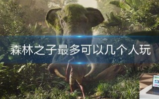 森林之子最多可以几个人玩 森林之子最多可以几个人玩