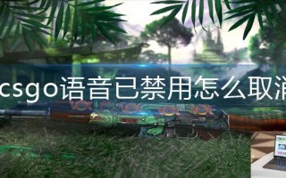 csgo语音已禁用怎么取消