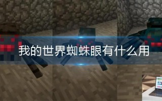 我的世界蜘蛛眼有什么用