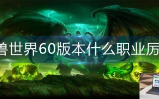 魔兽世界60版本什么职业厉害