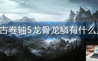 上古卷轴5龙骨龙鳞有什么用 上古卷轴5龙骨龙鳞有什么用