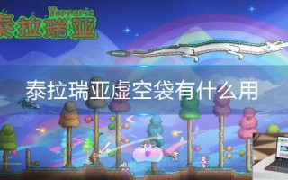 泰拉瑞亚虚空袋有什么用