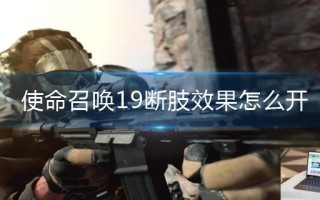 使命召唤19断肢效果怎么开