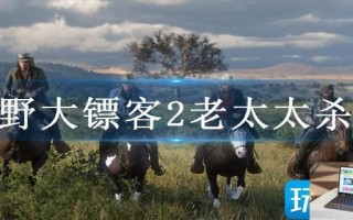 荒野大镖客2老太太杀吗