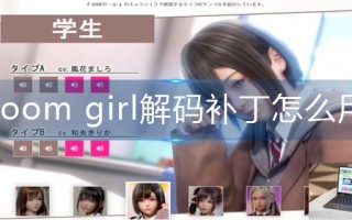 room girl解码补丁怎么用