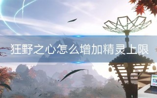狂野之心怎么增加精灵上限