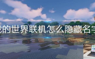 我的世界联机怎么隐藏名字