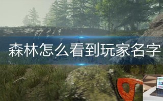 森林怎么看到玩家名字 森林怎么看到玩家名字