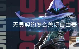 无畏契约怎么关闭自由麦 无畏契约怎么关闭自由麦