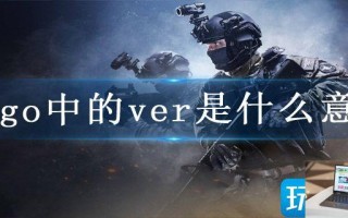 csgo中的ver是什么意思