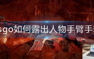 csgo如何露出人物手臂手表