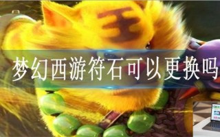 梦幻西游符石可以更换吗
