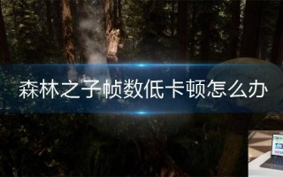 森林之子帧数低卡顿怎么办 森林之子帧数低卡顿怎么办