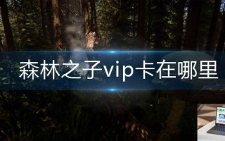 森林之子vip卡在哪里