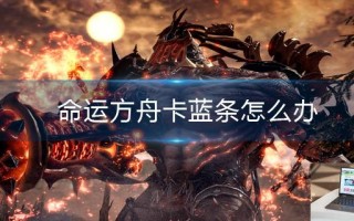 命运方舟卡蓝条怎么办
