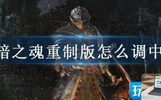 黑暗之魂重制版怎么调中文