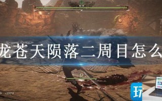 卧龙苍天陨落二周目怎么开