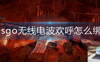 csgo无线电波欢呼怎么绑