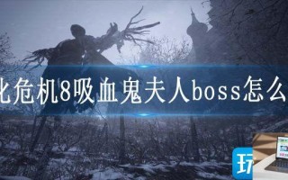 生化危机8吸血鬼夫人boss怎么打
