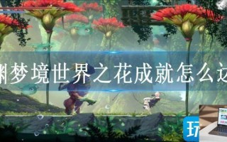 心渊梦境世界之花成就怎么达成