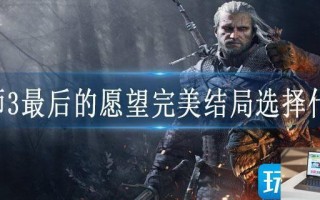 巫师3最后的愿望完美结局选择什么