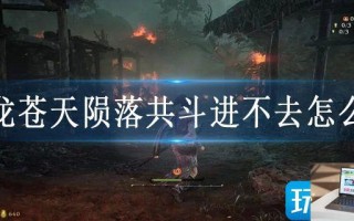卧龙苍天陨落共斗进不去怎么办
