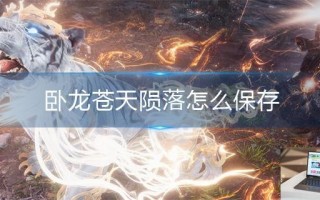 卧龙苍天陨落怎么保存