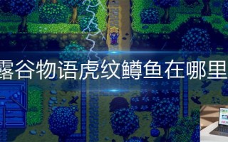 星露谷物语虎纹鳟鱼在哪里钓