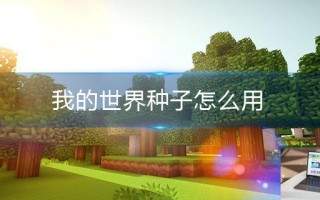 我的世界种子怎么用