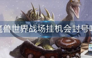 魔兽世界战场挂机会封号吗