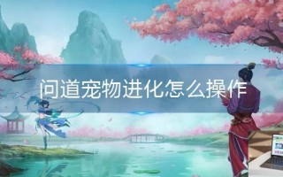 问道宠物进化怎么操作