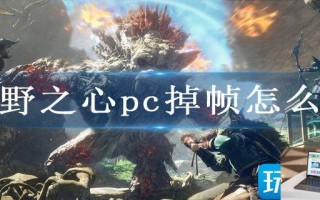 狂野之心pc掉帧怎么办